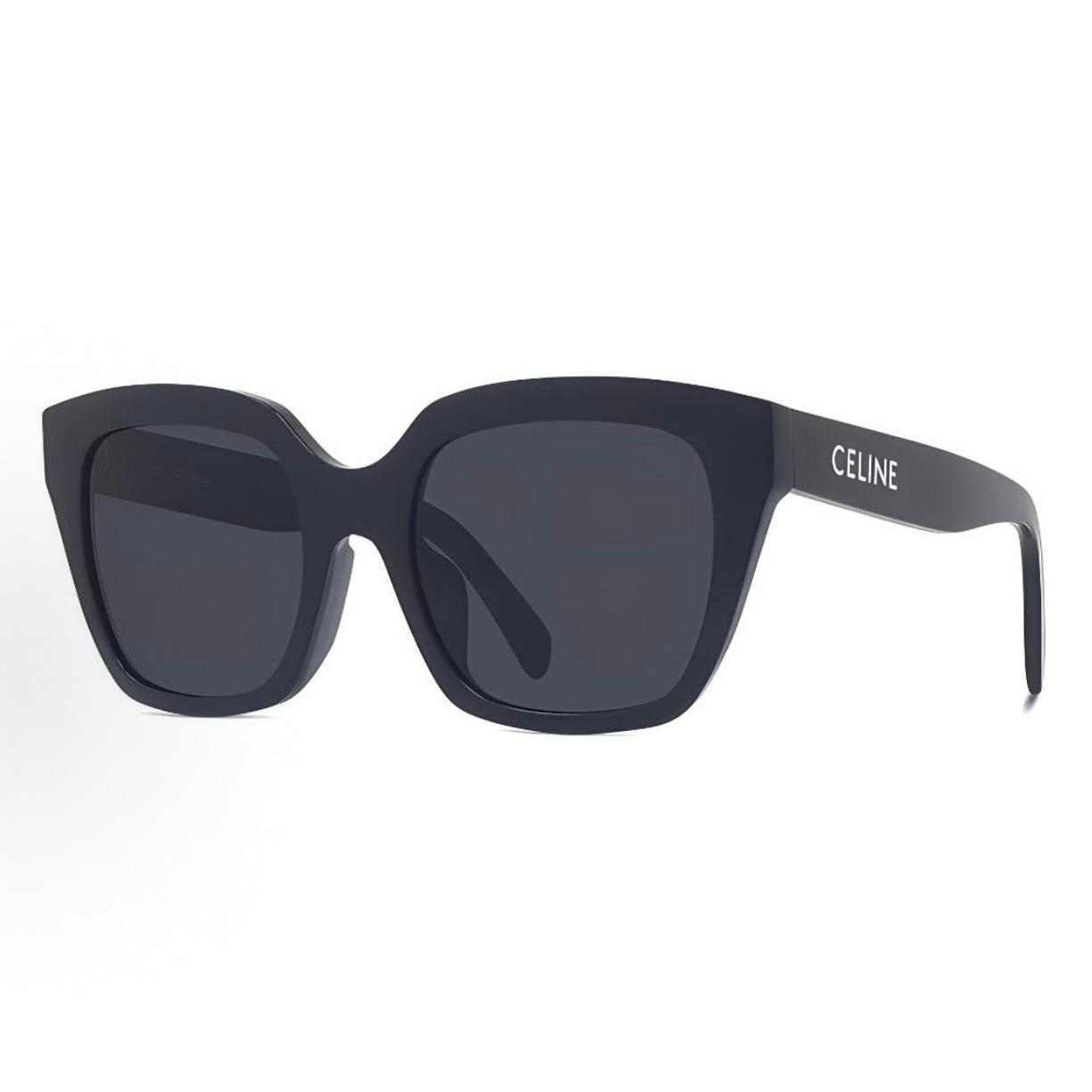 Sunglasses SL101