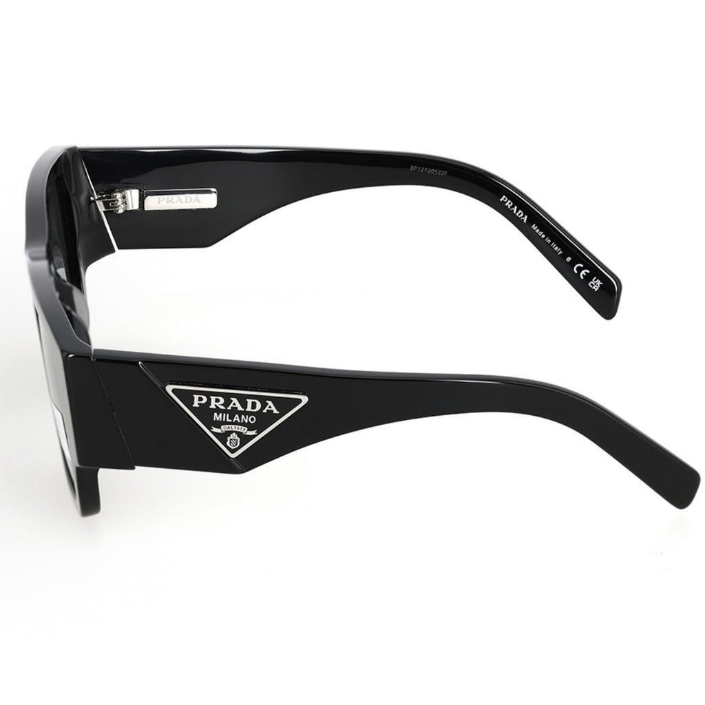 Sunglasses PLD101