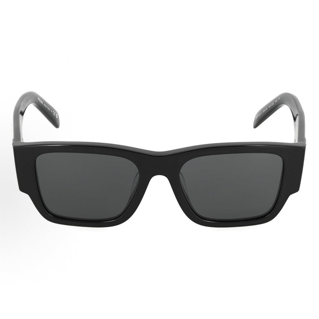 Sunglasses PLD101