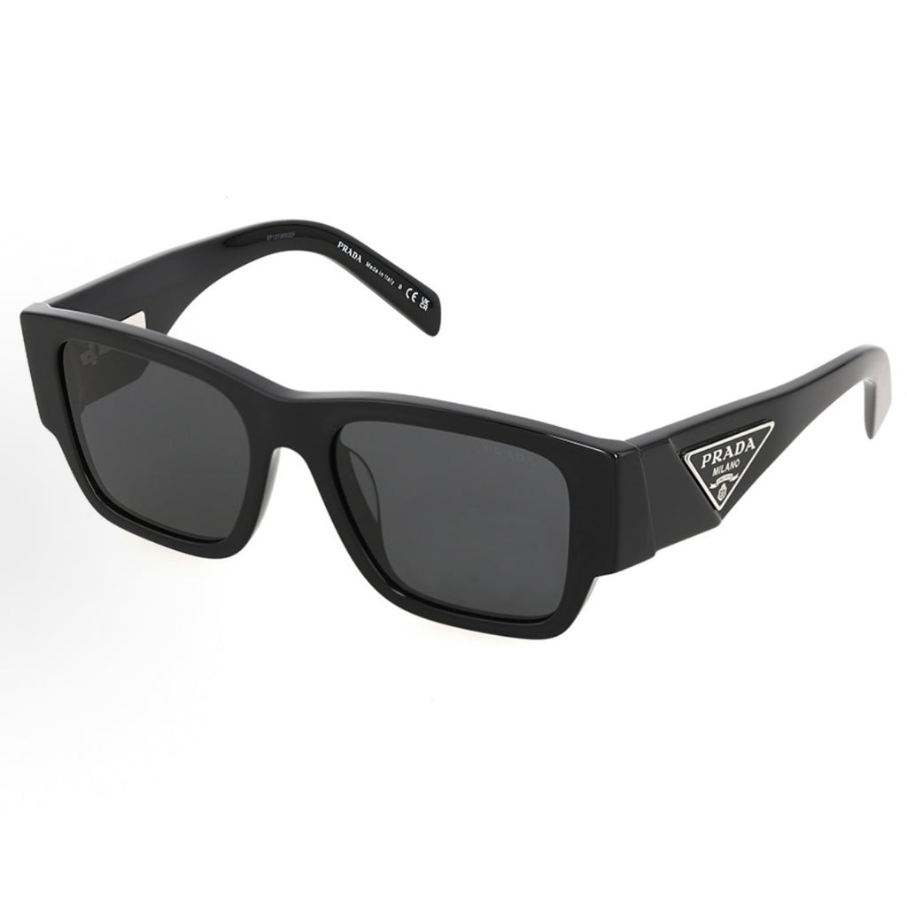 Sunglasses PLD101