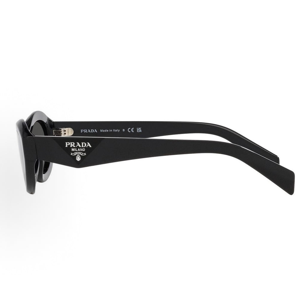 Sunglasses PLD102