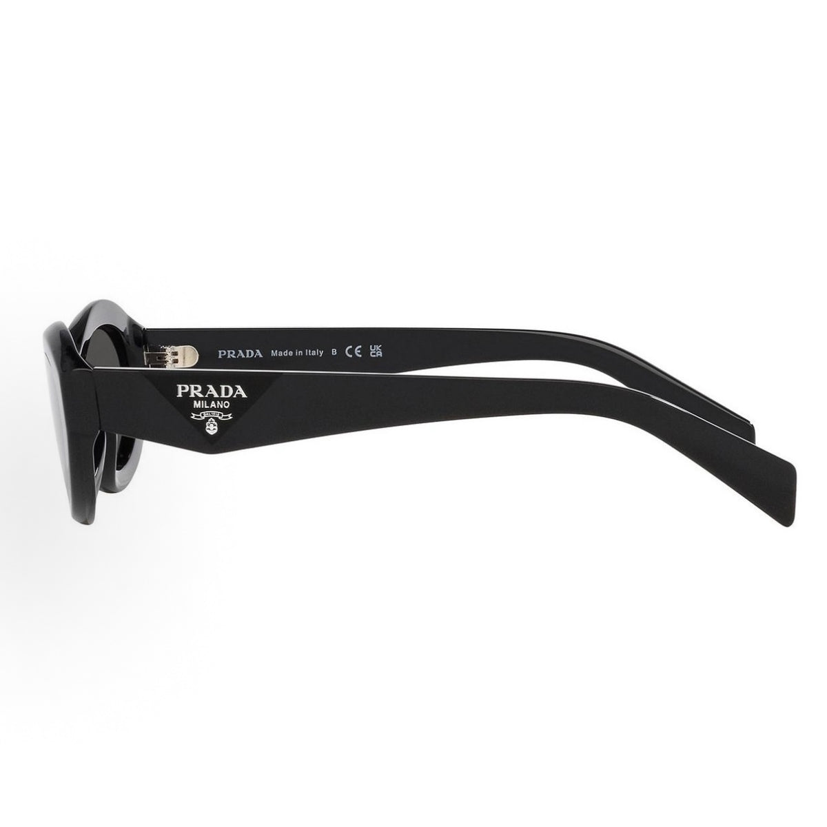 Sunglasses PLD102