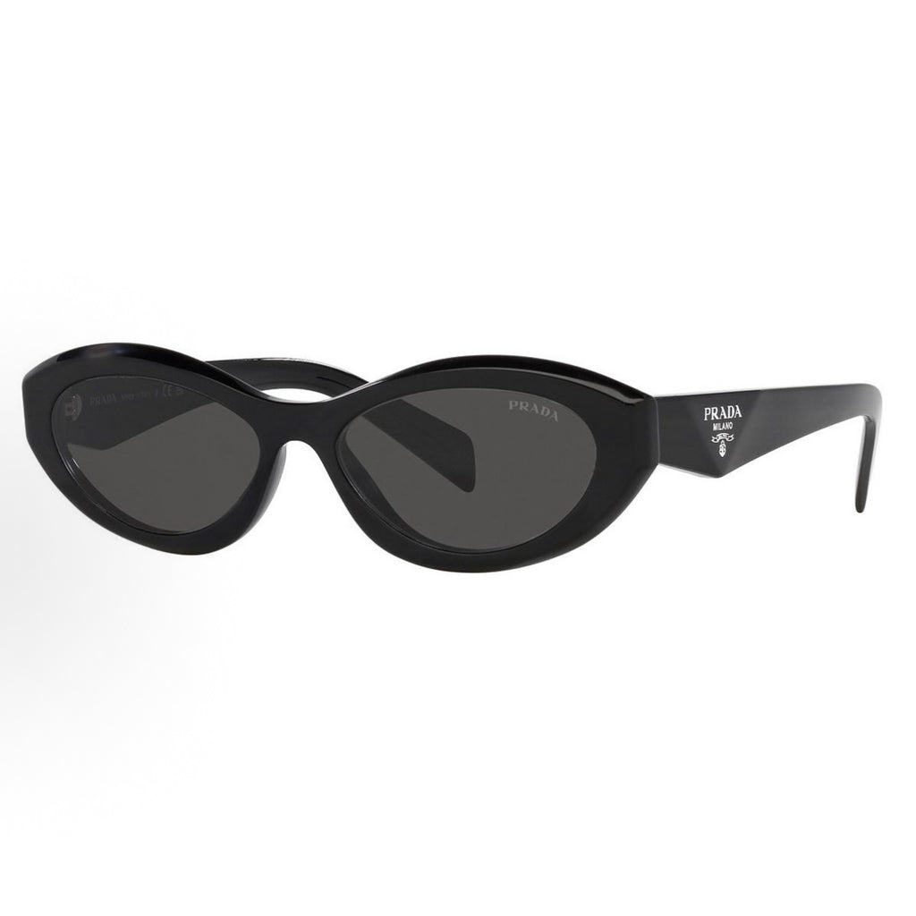 Sunglasses PLD102