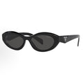 Sunglasses PLD102