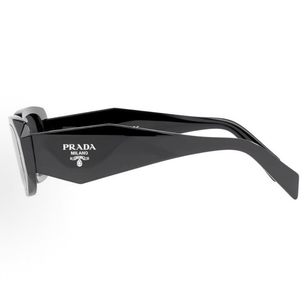 Sunglasses PLD103