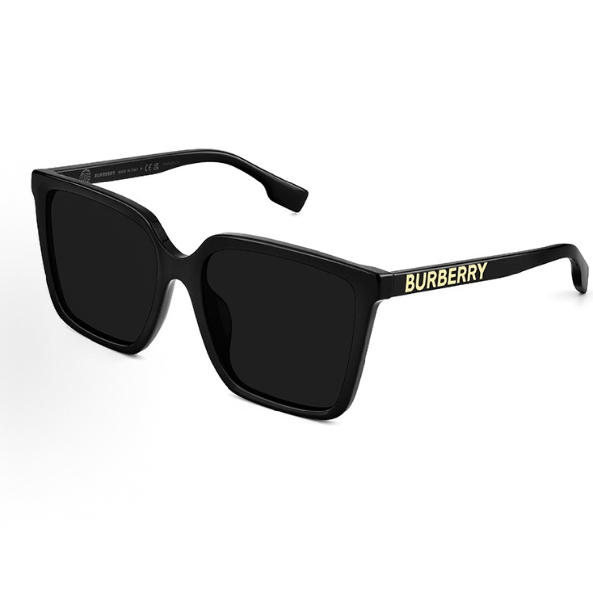 Sunglasses BBL101