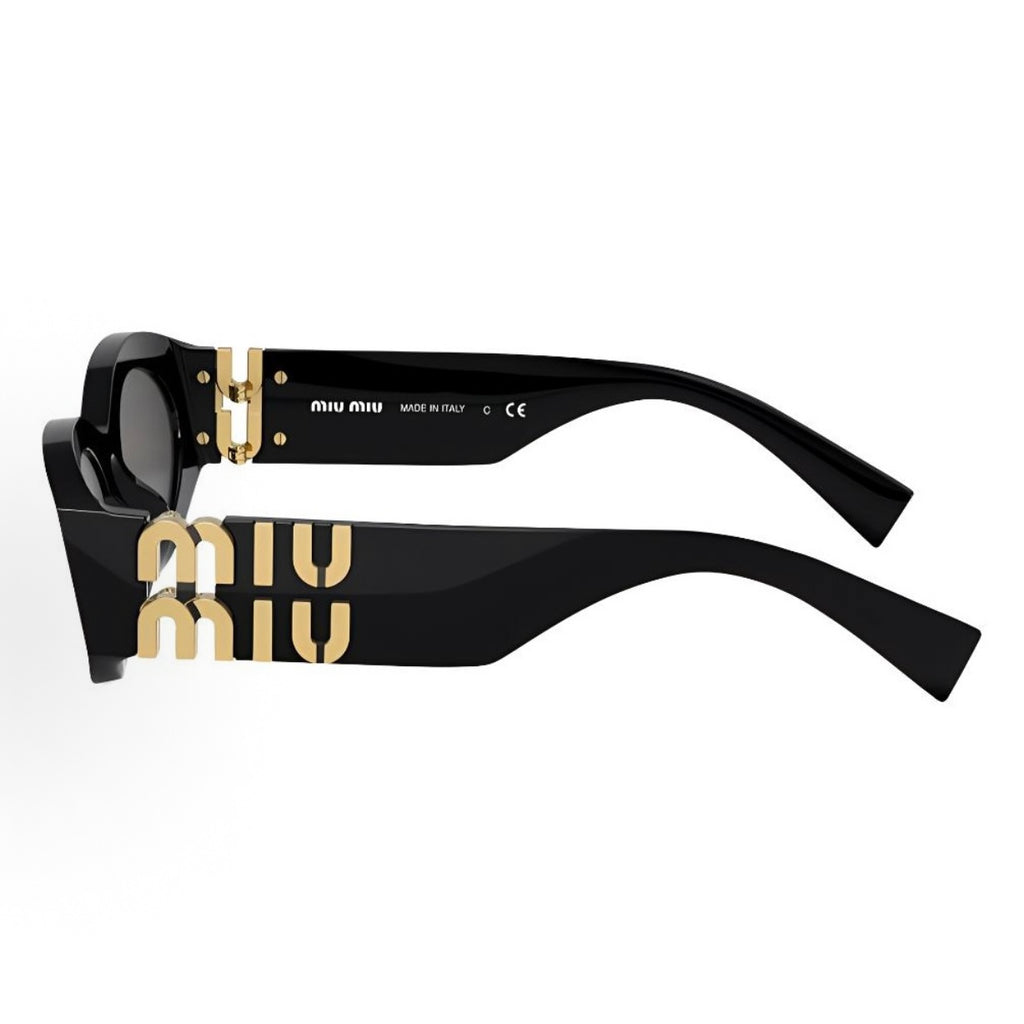 Sunglasses MM106