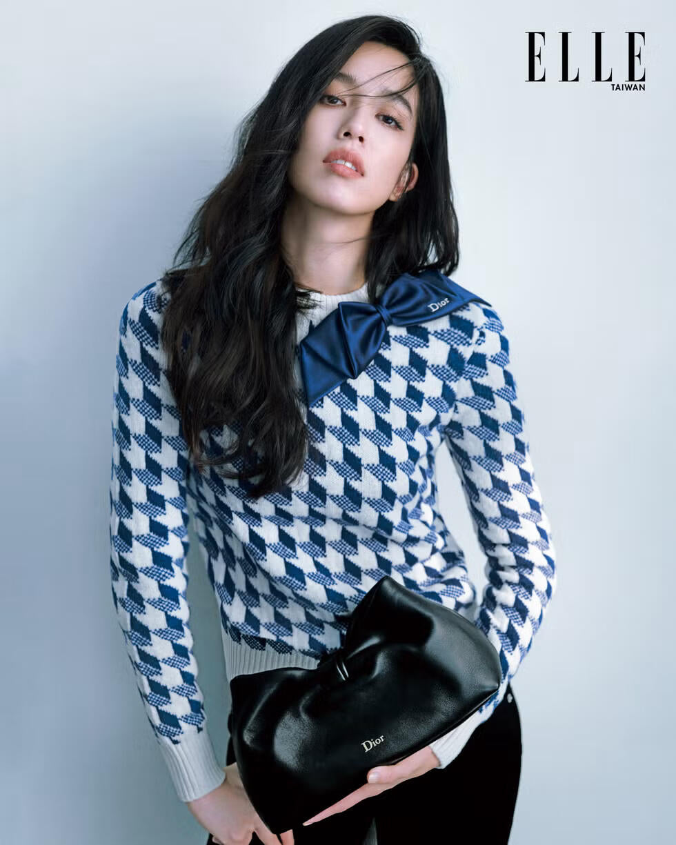 2026 Women's CD Butterfly Knot Peacock Pattern Plaid Sweater (DD144)