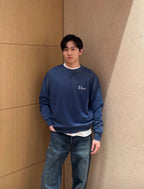 2026 new model CD embroidered distressed hoodie (BB4041-A75)
