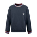 2026 new model Triangle Brand logo striped hoodie (CC7001-B05)